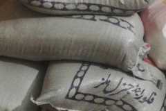 IMG-20220527-WA0085